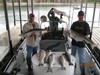 (09/30/2015) - Nice Striped Bass